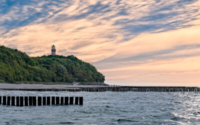 Jak codzienne wybory żywieniowe wpływają na obliczanie śladu węglowego?